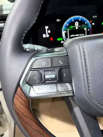 2026 Toyota LAND CRUISER 照片 10
