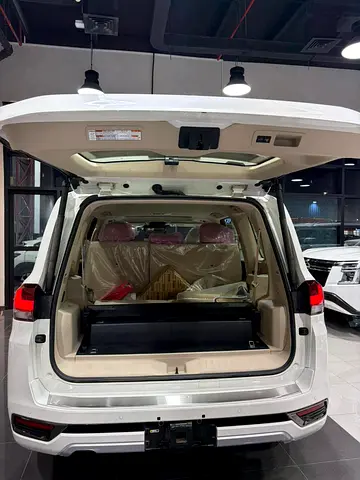 2026 Toyota LAND CRUISER 照片 19