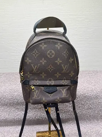Small Louis Vuitton Monogram Backpack / Crossbody - Mini Bag
