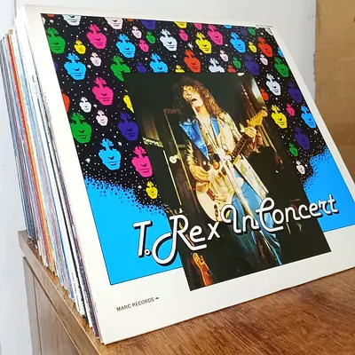 Collection of Vinyls for sale in mint condition