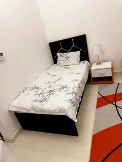 Executive Bed Space with Free Parking in Villa // With TV, Refrigerator and Attach Private Bathroom