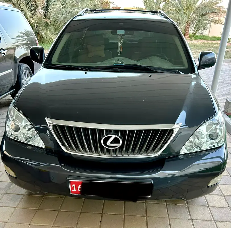 Lexus RX-Series 2008 — photo 1 of 10