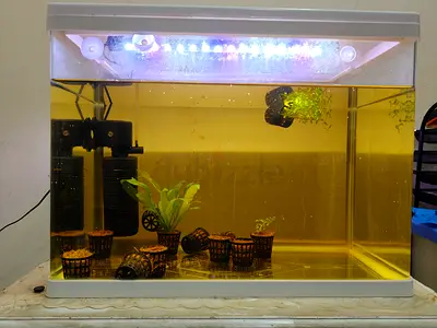 Used 90L Glass Aquarium Tank with LED Hood, Filter and Plant Baskets