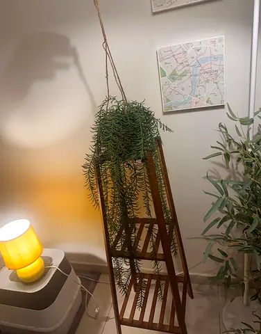 Wooden Ladder Plant Stand with Hanging Faux Succulent