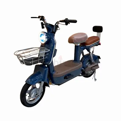 48V 2 Wheel Electric Bike Electric Bicycle for Adults blue