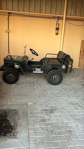 Mini jeep