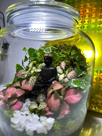 🌿🪷 Buddha Terrarium for Sale – Peaceful  Elegant Home Décor 🪷🌿