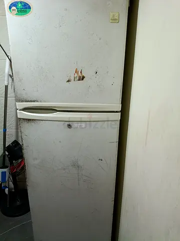 Fridge