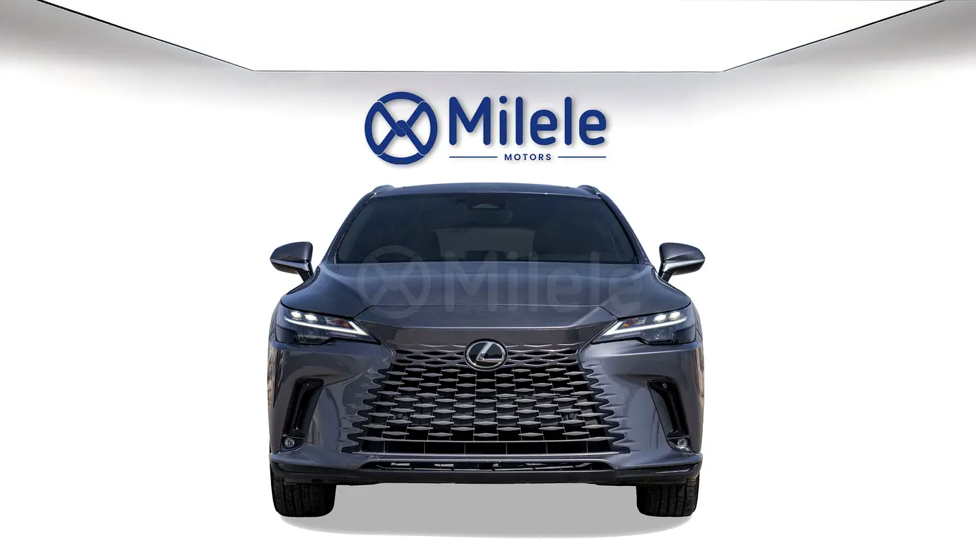 Lexus RX-Series 2023 — photo 1 of 20