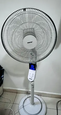 Fan