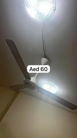 Ceiling fan with light - used, working