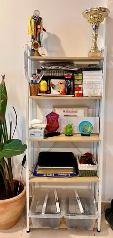 Storage shelf / Book shelf
