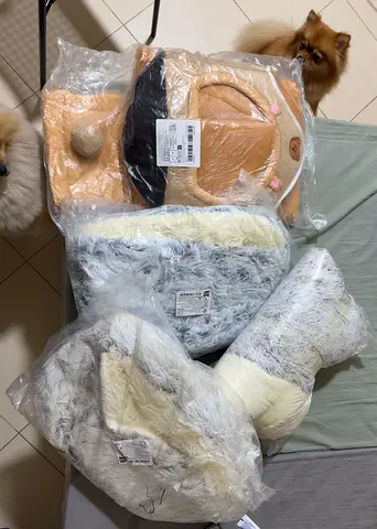 dog bed