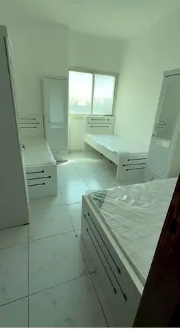 Executive Bedspace Available For Rent