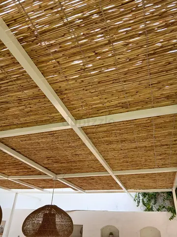 Bamboo