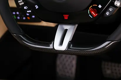 2024 Ferrari PUROSANGUE photo 14