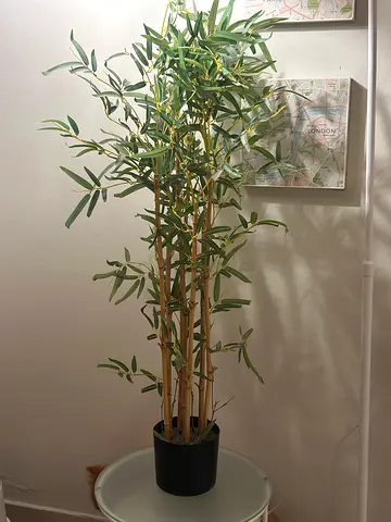 1.60m Tall Artificial Bamboo/Olive Plant in Black Pot — Good Condition