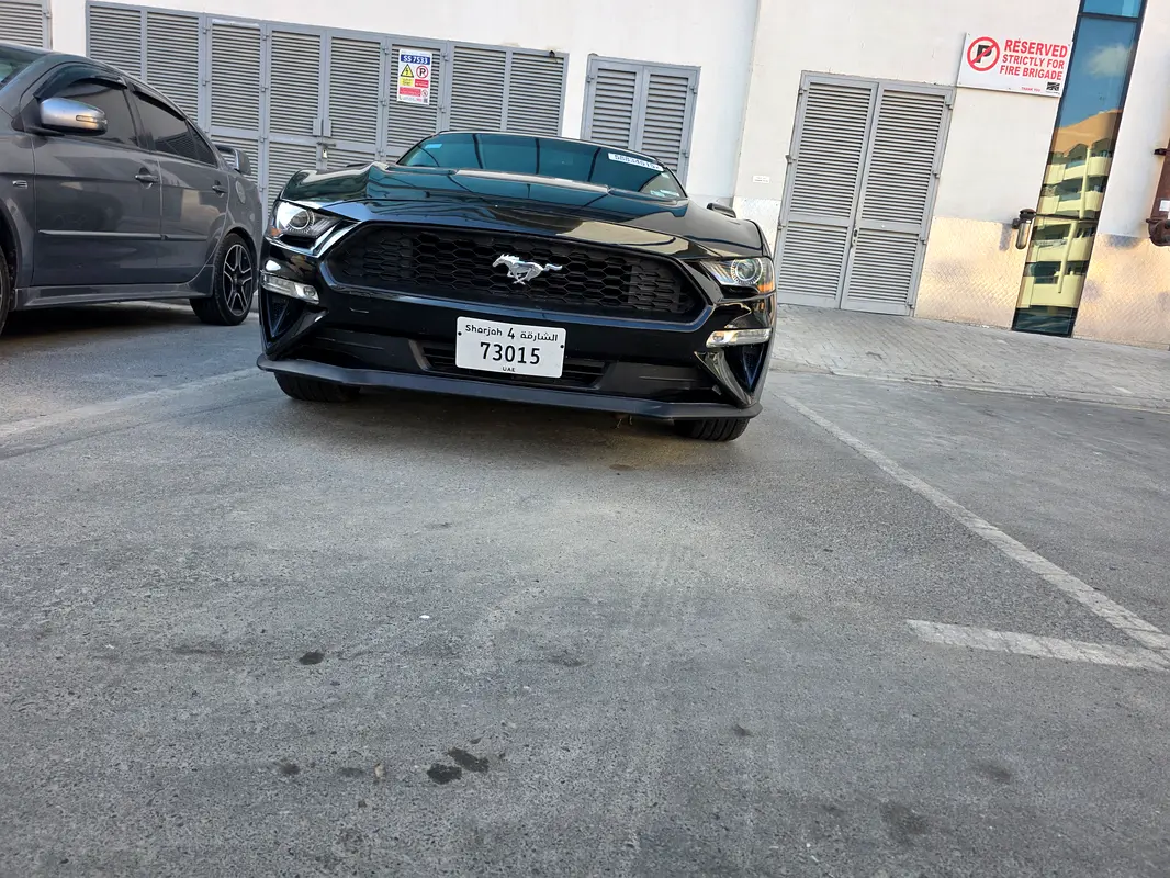 Ford Mustang 2020 — photo 1 of 10