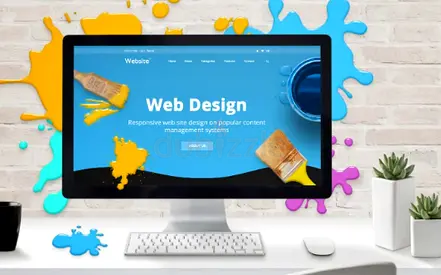 Website Desing Development