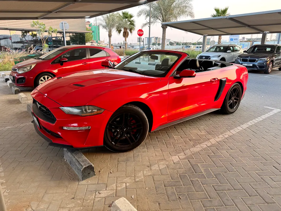 Ford Mustang 2018 — photo 1 of 9