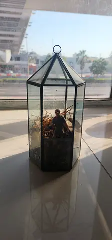 Glass Geometric Terrarium / Decorative Mini Greenhouse