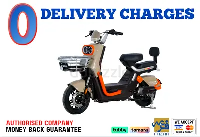 Kugoo Electric Scooter - T2