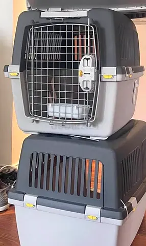 Dogs and cats carriers for air travel
