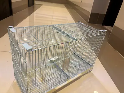 Medium metal bird cage with trays and perches - good condition