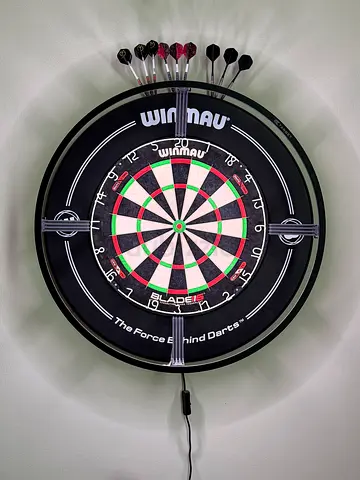 Pro dart set up