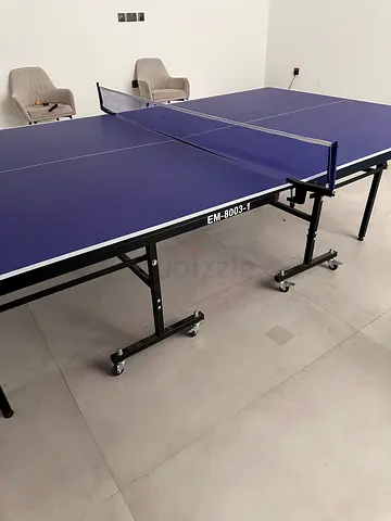 ping pong table