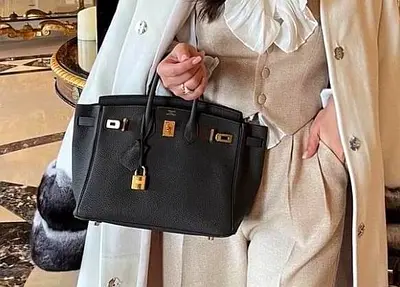 Hermes Brikin 25cm