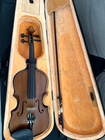 Wood violin