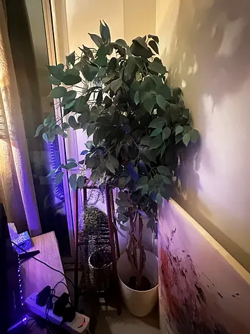 Large Artificial Potted Tree - Lifelike Ficus/Greenery for Living Room