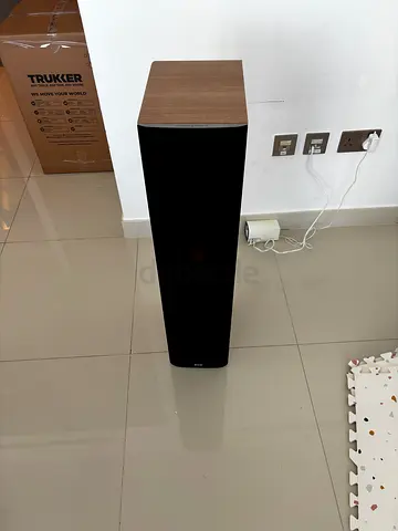 Bowers and Wilkins DM603