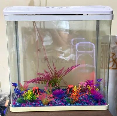 Fish Tank/aquarium with air pump and Decorative Plants