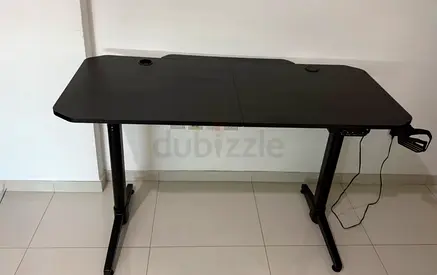 Electric Adjustable Desk | Sit/Stand