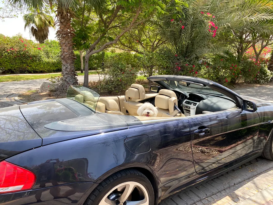 BMW 6-Series 2010 — photo 1 of 7