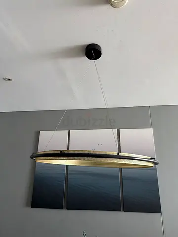 Modern Circular LED Hanging Ceiling Light - Minimalist Design