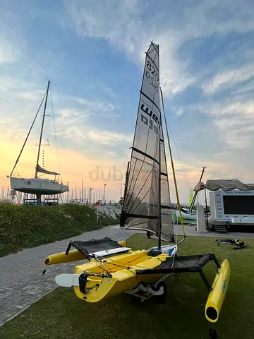 Weta Trimaran #829