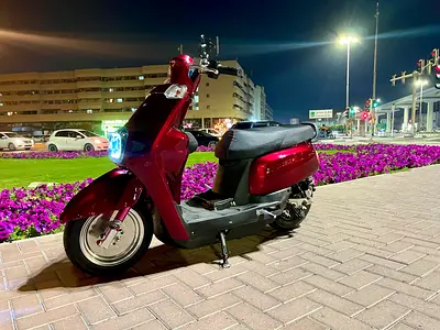 project stance ebike