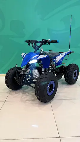 Powerful Quad bike 36v20ah battery