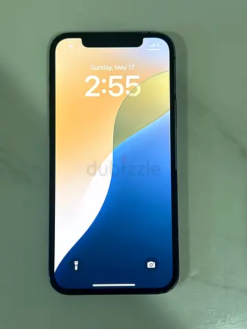 iPhone (black) - good condition, dual camera model