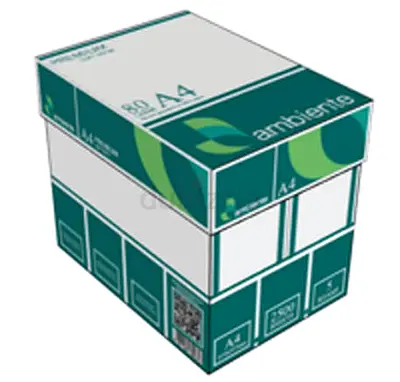Ambiente A4 Copy Paper  Carton