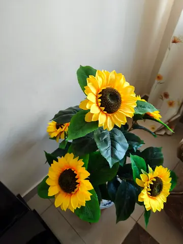Decoration plant