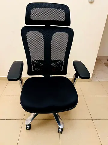 Ergo human office chair