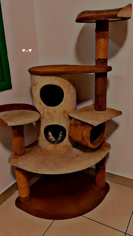 Used multi-level cat tree with scratch posts and hideouts