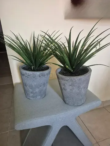 Pair of Faux Agave Plants in Concrete-Effect Pots - immediate sale.. Cash buy only