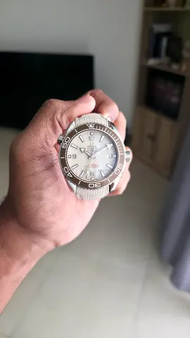 Omega Seamaster Planet Ocean 600 Beige