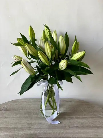 Fresh White Lily in Glass Vase