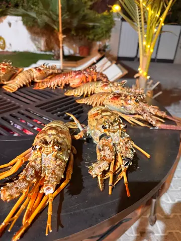 Premium Outdoor Fire Pit BBQ | OFYR Style | Rare in Dubai